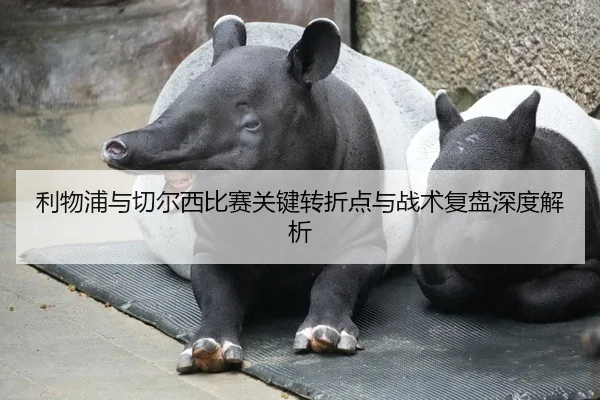 利物浦与切尔西比赛关键转折点与战术复盘深度解析